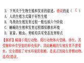 北师大版八年级生物上册第19章第2节动物的生殖和发育分层作业课件