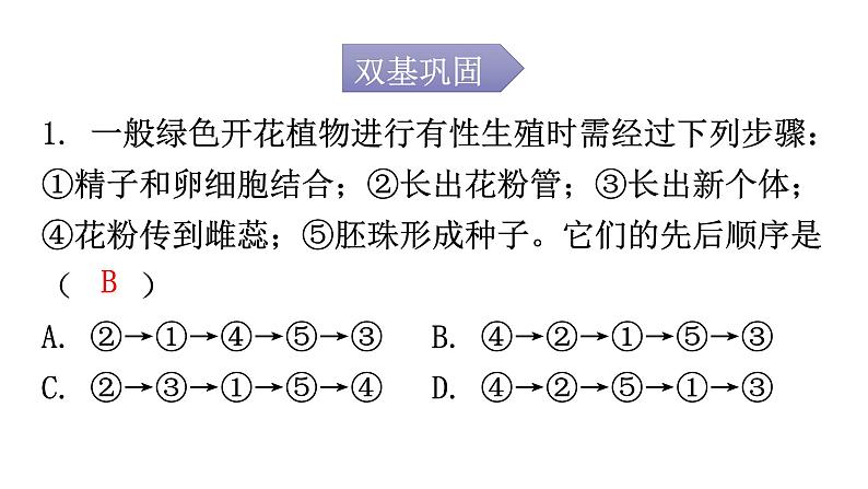 北师大版八年级生物上册第19章第3节植物的生殖方式分层作业课件02