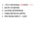 北师大版八年级生物上册第20章第2节性状遗传的物质基础分层作业课件