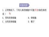 北师大版八年级生物上册第20章第4节性别和性别决定分层作业课件