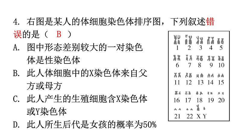 北师大版八年级生物上册第20章第4节性别和性别决定分层作业课件第5页