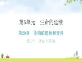 北师大版八年级生物上册第20章第5节遗传与环境分层作业课件