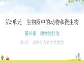 北师大版八年级生物上册第5单元第16章第2节动物行为的主要类型知识点课件
