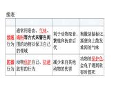 北师大版八年级生物上册第5单元第16章第2节动物行为的主要类型知识点课件