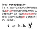 北师大版八年级生物上册第5单元第17章第1节动物在生物圈中的作用知识点课件