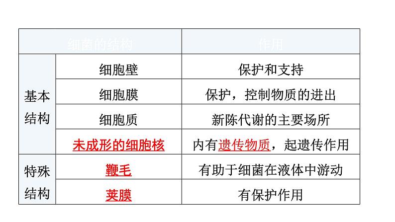 北师大版八年级生物上册第5单元第18章第1节微生物在生物圈中的作用知识点课件第7页