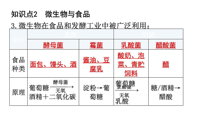 北师大版八年级生物上册第5单元第18章第2节微生物与人类的关系知识点课件04