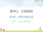 北师大版八年级生物上册第6单元第19章第1节人的生殖和发育知识点课件