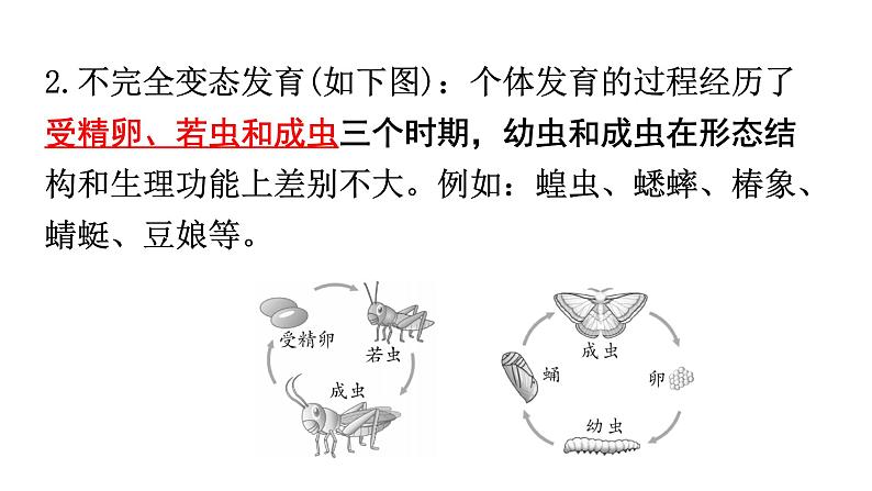 北师大版八年级生物上册第6单元第19章第2节动物的生殖和发育知识点课件第3页