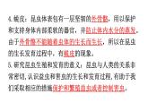 北师大版八年级生物上册第6单元第19章第2节动物的生殖和发育知识点课件