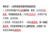 北师大版八年级生物上册第6单元第20章第4节性别和性别决定知识点课件