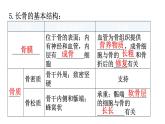 北师大版八年级生物上册第5单元第15章动物的运动练习课件
