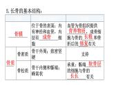 北师大版八年级生物上册第5单元第15章动物的运动练习课件