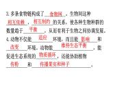 北师大版八年级生物上册第5单元第17章生物圈中的动物练习课件