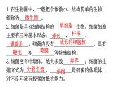 北师大版八年级生物上册第5单元第18章生物圈中的微生物练习课件