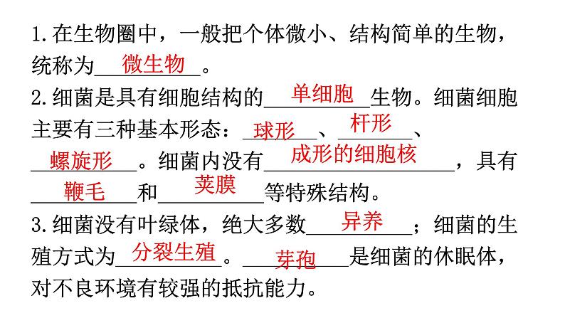 北师大版八年级生物上册第5单元第18章生物圈中的微生物练习课件02