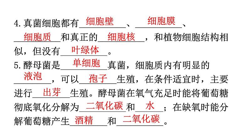 北师大版八年级生物上册第5单元第18章生物圈中的微生物练习课件03