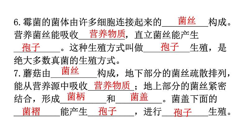 北师大版八年级生物上册第5单元第18章生物圈中的微生物练习课件04