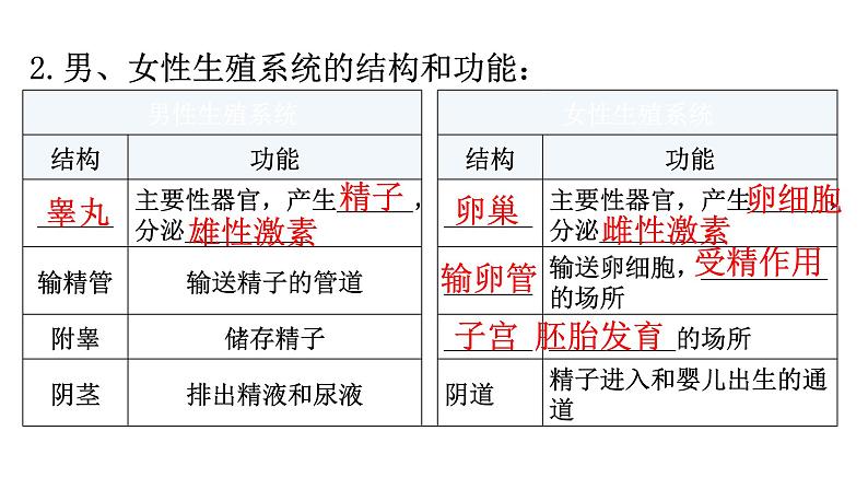 北师大版八年级生物上册第6单元第19章生物的生殖和发育练习课件03