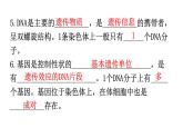 北师大版八年级生物上册第6单元第20章生物的遗传和变异练习课件