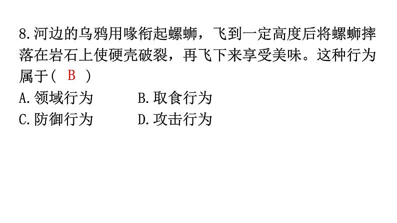 北师大版八年级生物上册期中过关训练课件08