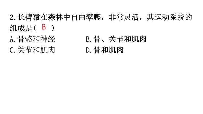 北师大版八年级生物上册期末过关训练课件03