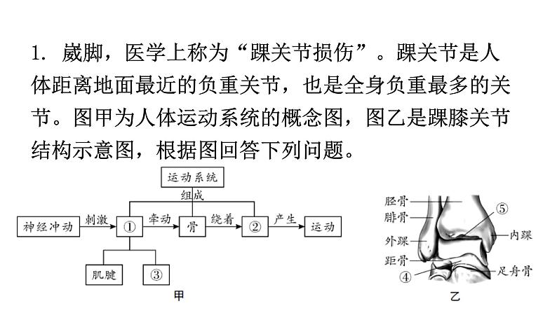 北师大版八年级生物上册专项训练一读图理解题型课件02