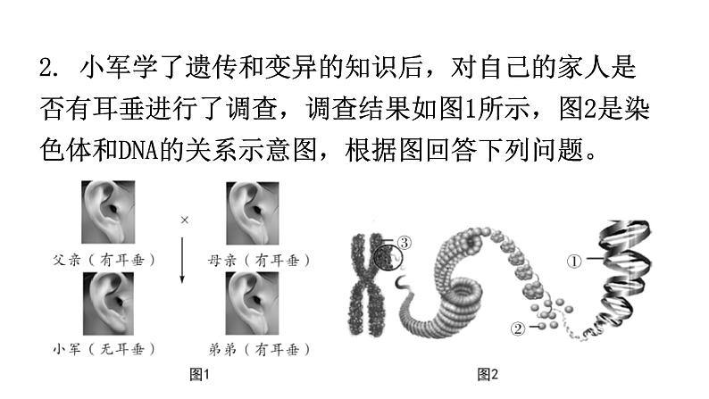 北师大版八年级生物上册专项训练一读图理解题型课件05