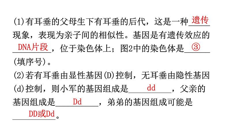 北师大版八年级生物上册专项训练一读图理解题型课件06