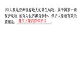 北师大版八年级生物上册专项训练二资料分析题型课件
