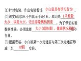 北师大版八年级生物上册专项训练三实验探究题型课件