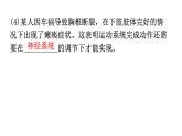北师大版八年级生物上册专项训练四综合应用题型课件