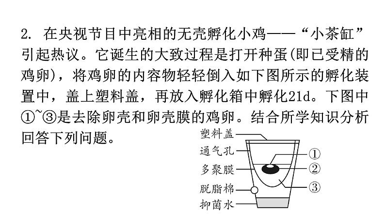 北师大版八年级生物上册专项训练四综合应用题型课件05