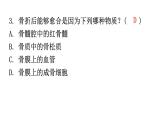 北师大版八年级生物上册第5单元过关训练课件