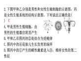 北师大版八年级生物上册第6单元过关训练课件