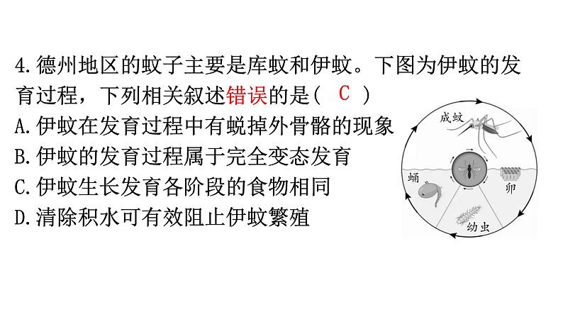 北师大版八年级生物上册第6单元过关训练课件第5页