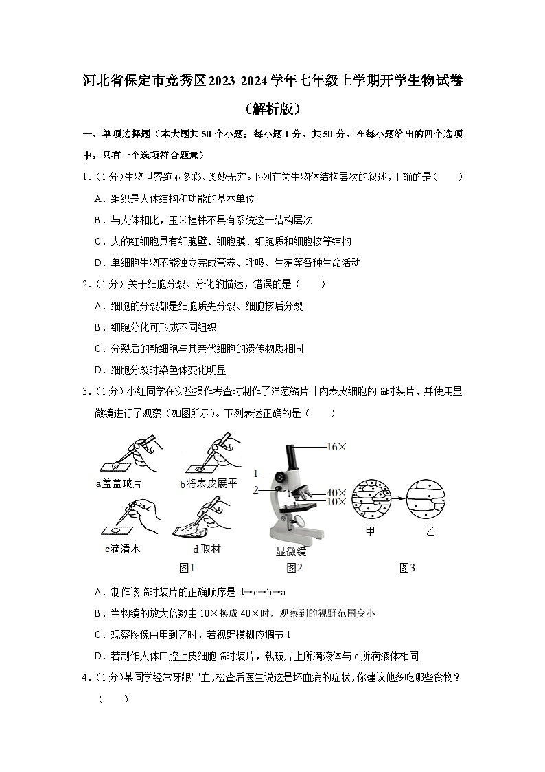 河北省保定市竞秀区2023-2024学年七年级上学期开学生物试卷01