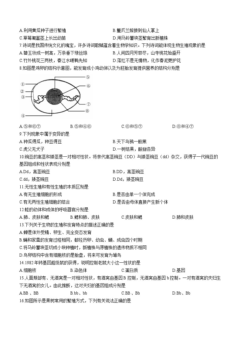 河北省沧州市泊头市2022-2023学年八年级下学期期中生物试题02