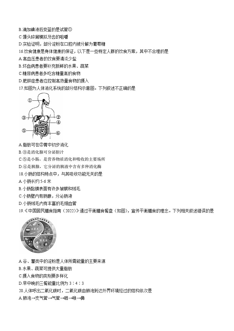 河北省沧州市泊头市2022-2023学年七年级下学期期中生物试题(无答案)03