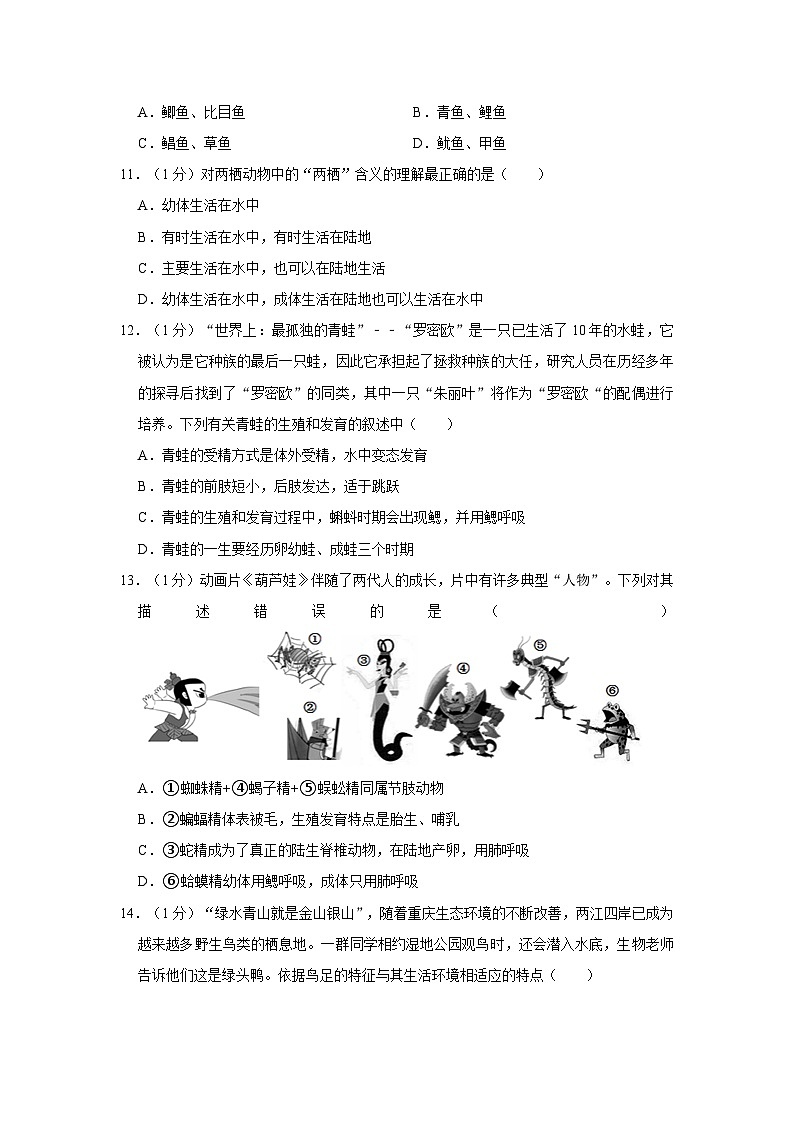 重庆市大足区龙岗中学2022-2023学年八年级上学期期中生物试卷第3页