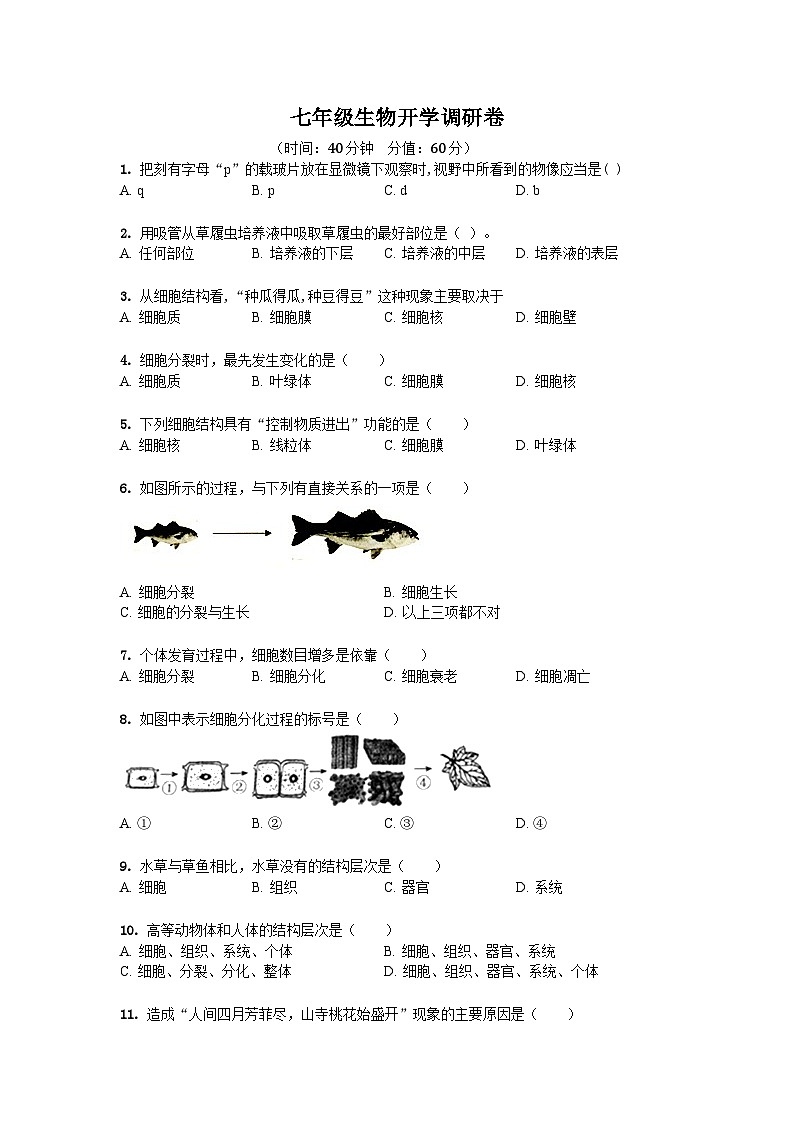 山东省聊城市东阿县第三中学2023-2024学年七年级上学期开学生物试题第1页