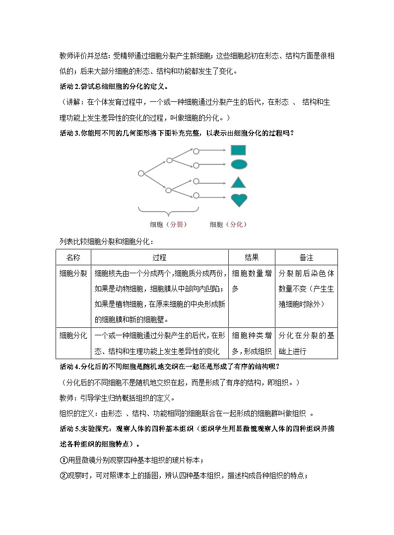 2.2.2动物体的结构层次教案 人教版生物七年级上册第2页