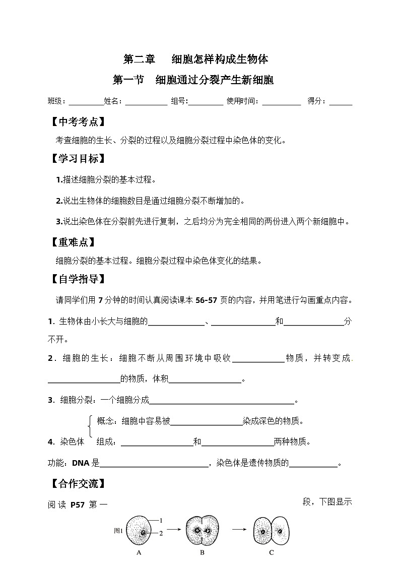 2.2.1  细胞通过分裂产生新细胞  学案 人教版生物七年级上册01