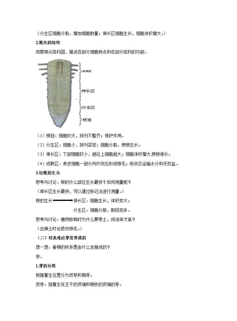 3.2.2植株的生长教案 人教版生物七年级上册02