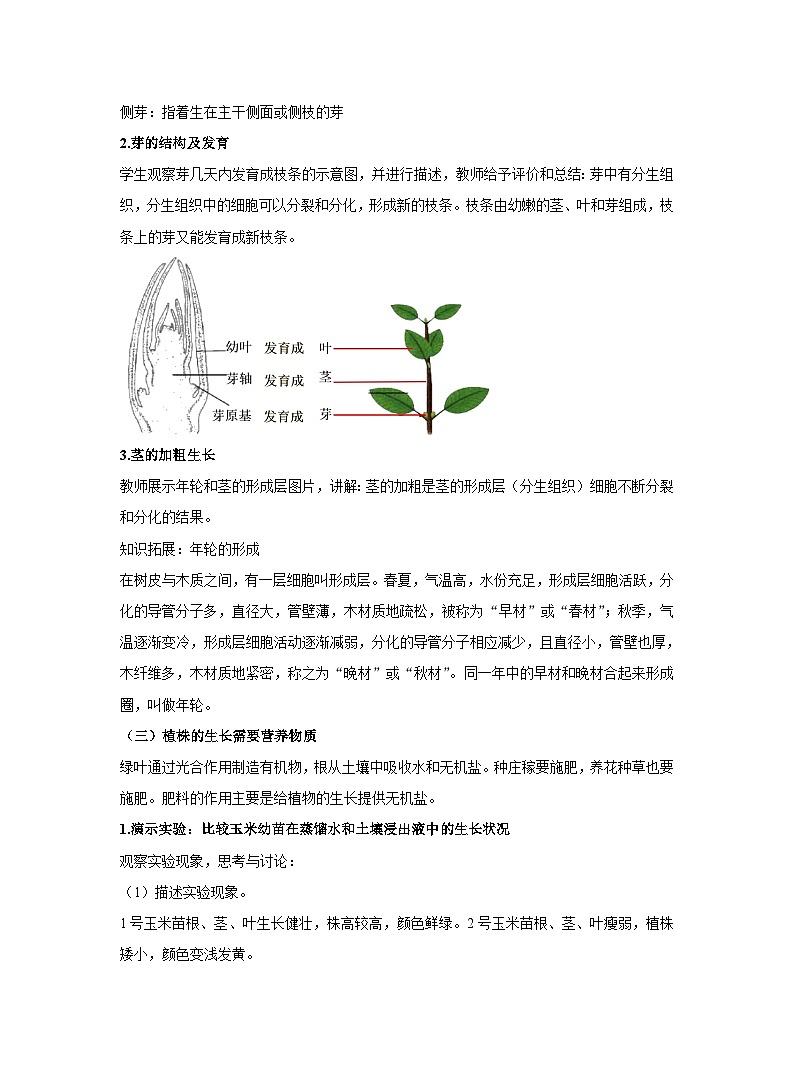 3.2.2植株的生长教案 人教版生物七年级上册03