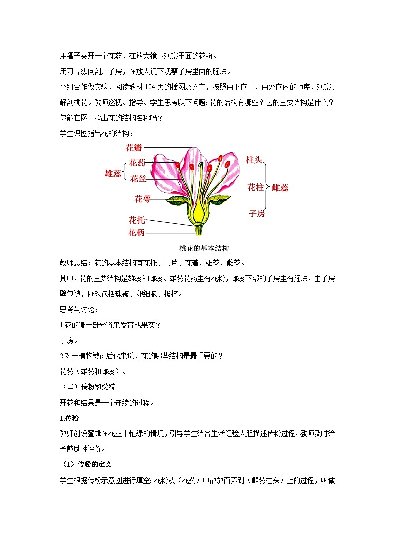 3.2.3开花和结果教案 人教版生物七年级上册02