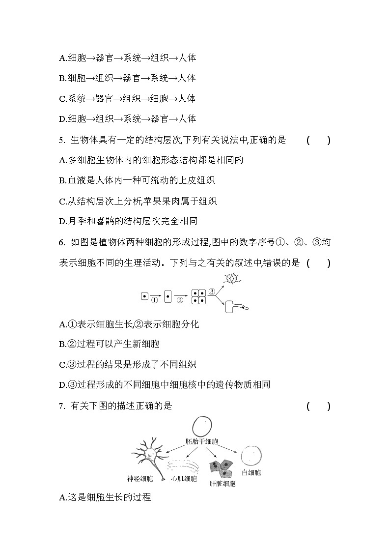 2.2.2  动物体的结构层次      课堂练习 人教版生物七年级上册第2页