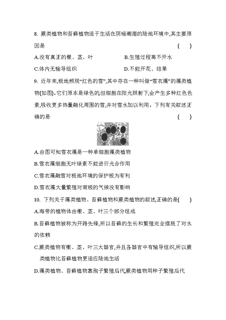3.1.1  藻类、苔藓和蕨类植物     课堂练习 人教版生物七年级上册03