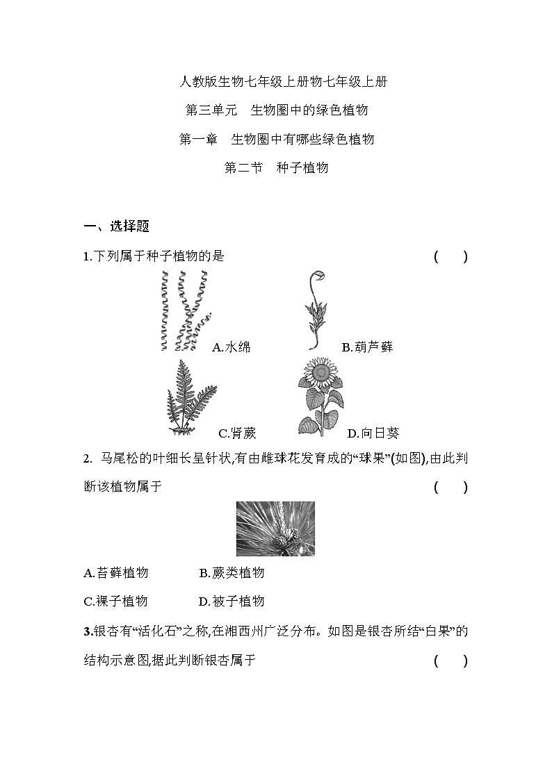 3.1.2  种子植物     课堂练习 人教版生物七年级上册第1页