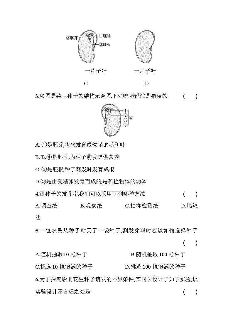3.2.1   种子的萌发    课堂练习 人教版生物七年级上册02